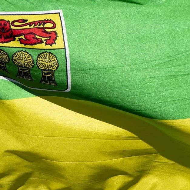 Doctors in northern Saskatchewan treat 27 scurvy cases, highlight food insecurity